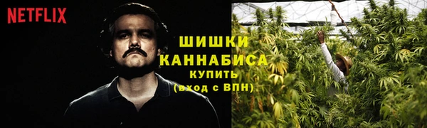амф Белокуриха