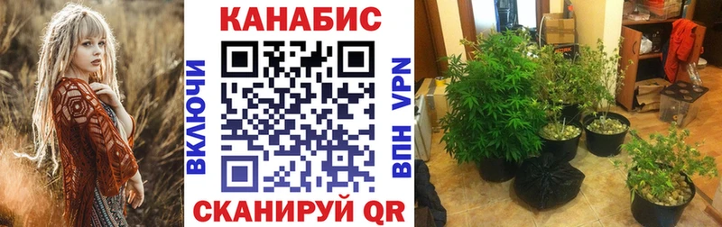 Бошки марихуана LSD WEED OMG онион Велиж